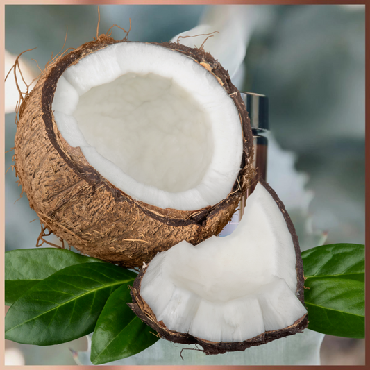 Fresh Coconut Massage Oil